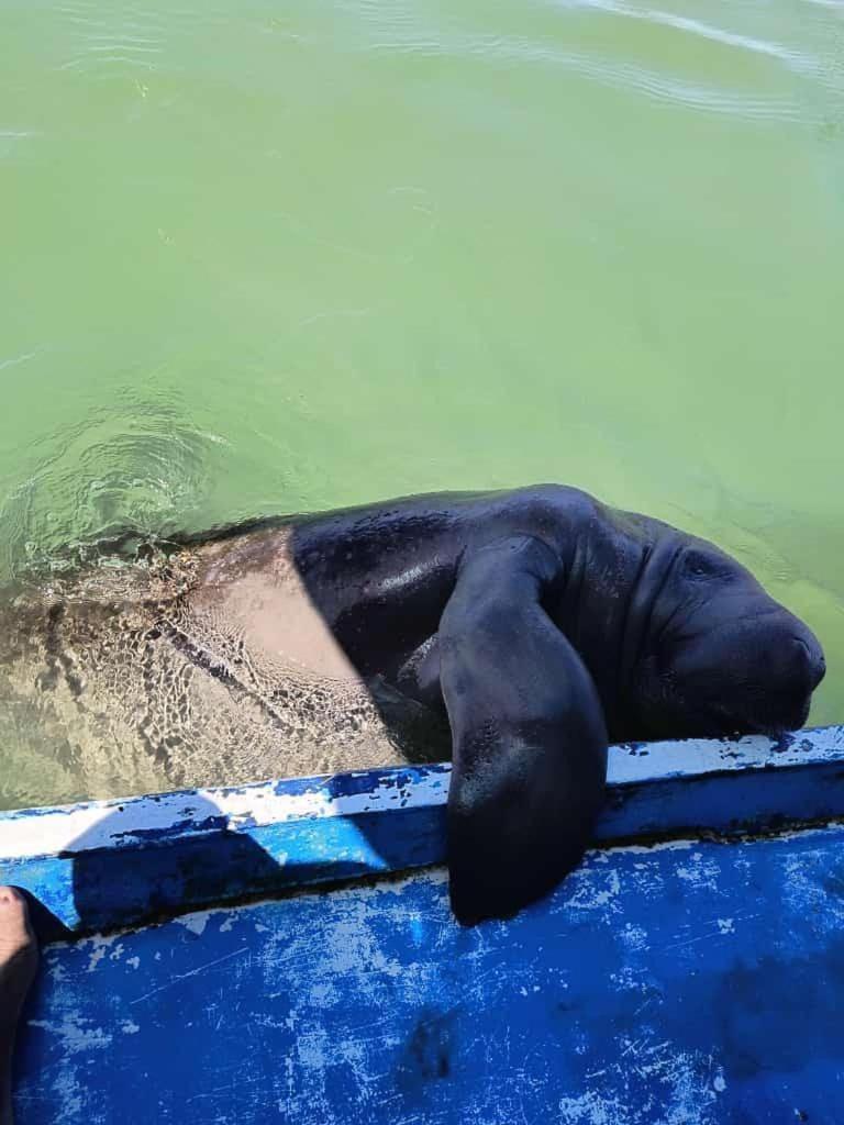 Pousada Caribe Milagrense São Miguel dos Milagres Eksteriør bilde